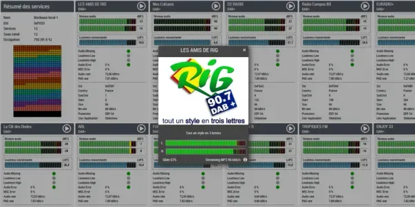 Audemat DAB Probe_BandScan