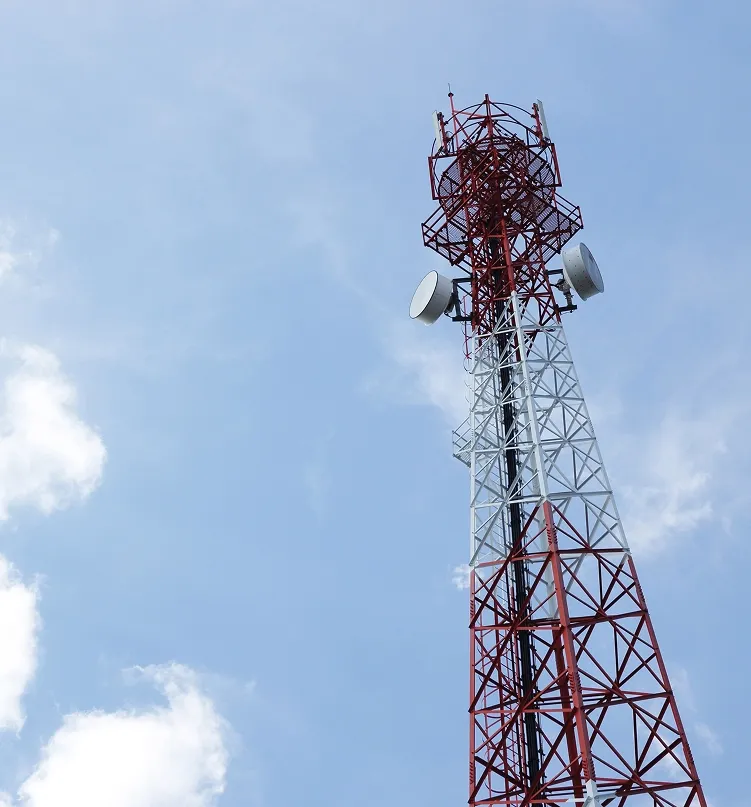 FM-SFN Single Frequency Networks