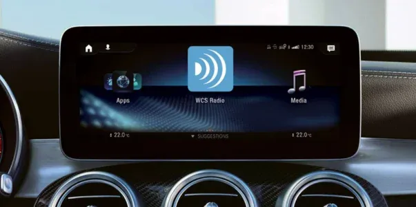 RDS_with WorldCast favicon - Showcase image