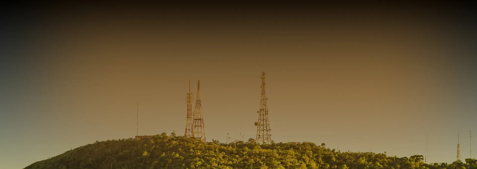 Banner with antenna over trees _ 2